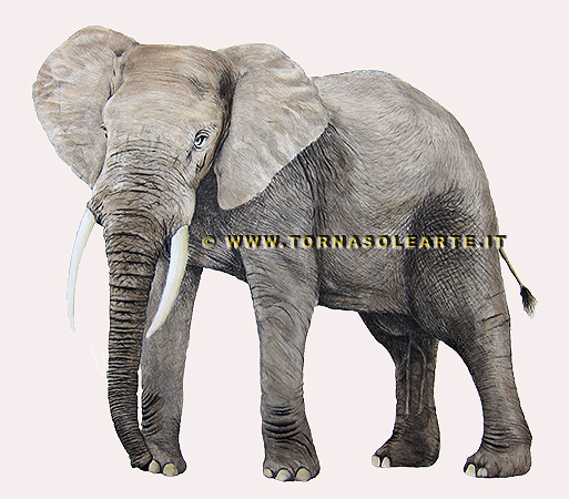 Ritratto di elefante in posa