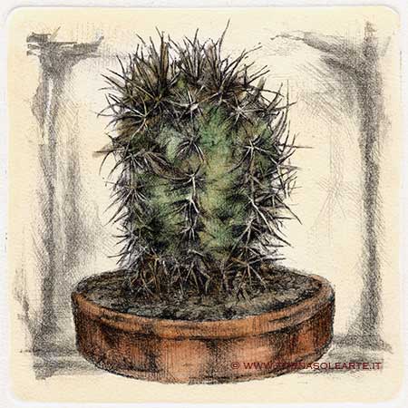 Piante grasse - Cactus mostro
