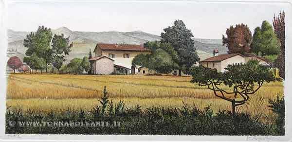 Campagna italiana - Casa con grano