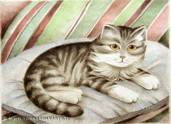 Gatti litho - Gattino sul cuscino