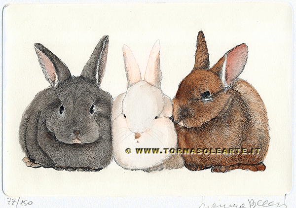Tre conigliettii in posa