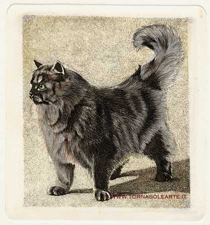 Gatto grigio