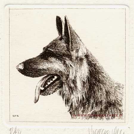 Cani - Pastore tedesco