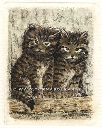 Cuccioli di gattini tigrati