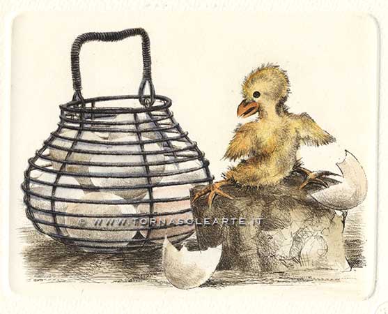 Pulcino appena fuori dall'uovo