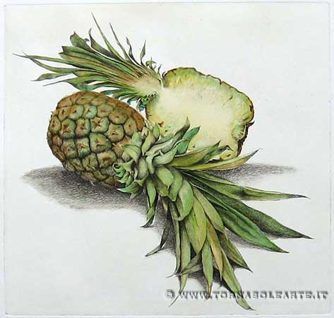 Composizione con ananas