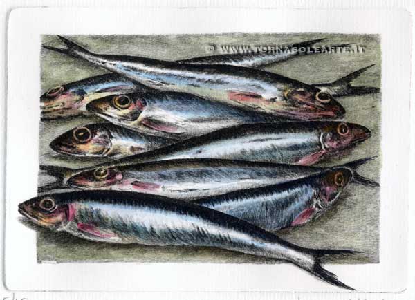 Composizione con sardine