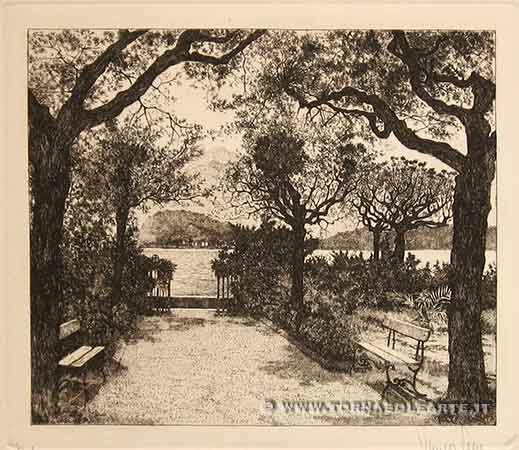 Veduta dei giardini di Cadenabbia sul lago di Como