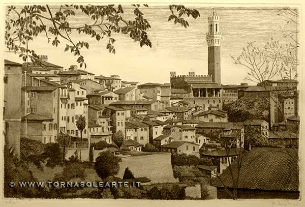 Siena - Panorama bianco nero