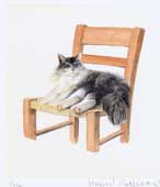  Gatto sulla sedia