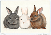 Tre conigliettii in posa