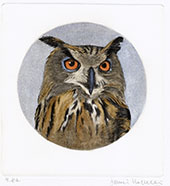 Eagle Owl