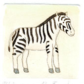 Zebra