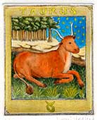 Zodiacal sign - Taurus