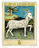 Zodiacal sign - Capricorn