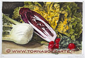 Natura morta con radicchio e finocchio