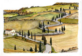 Strada curva con cipressi