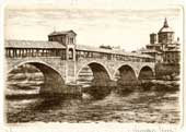 Pavia