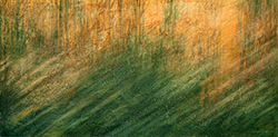 Respiro